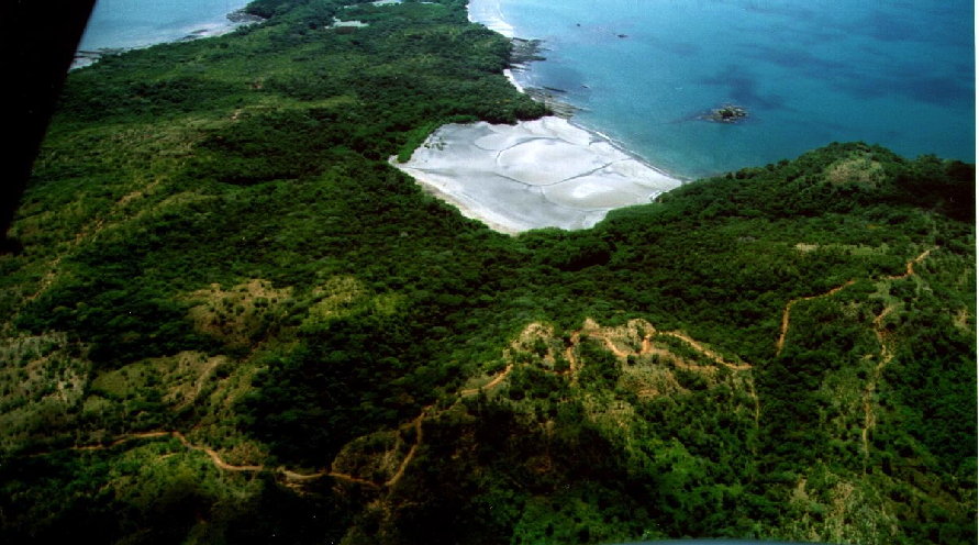 Aerial view of beachfront parcel with tropical forest