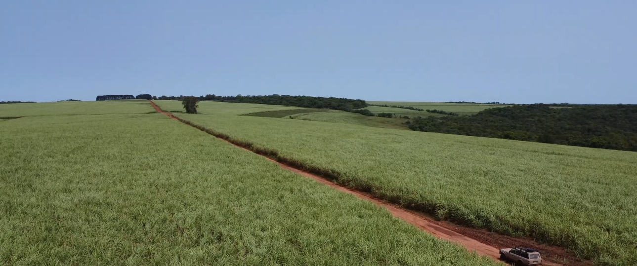 Agricultural Assets
